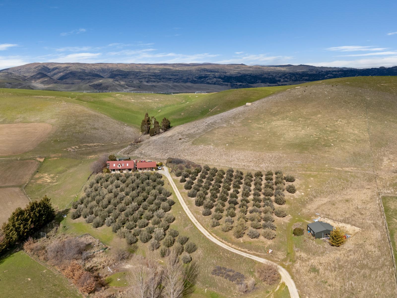 60 Thomson Gorge Road, Tarras