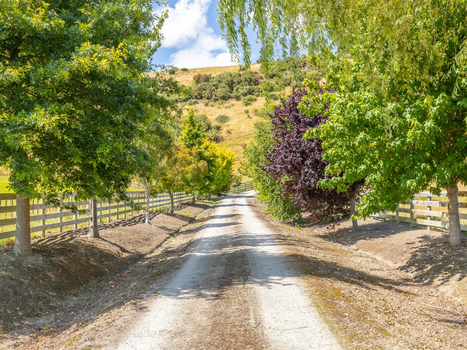 1342 Turakina Valley Road, Turakina