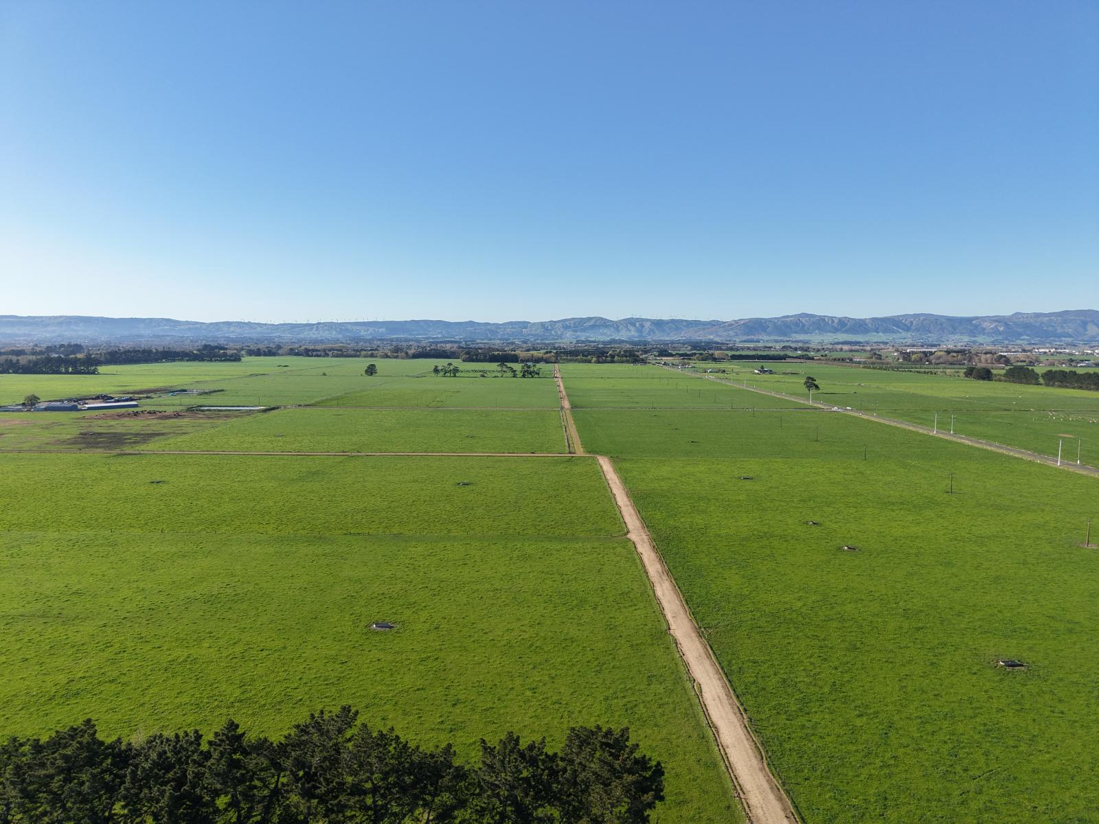 1063 Kairanga Bunnythorpe Road, Kairanga