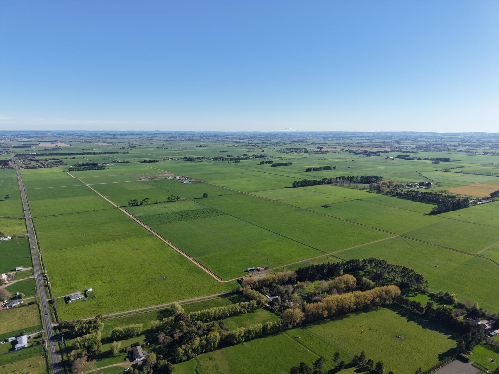 1063 Kairanga Bunnythorpe Road, Kairanga