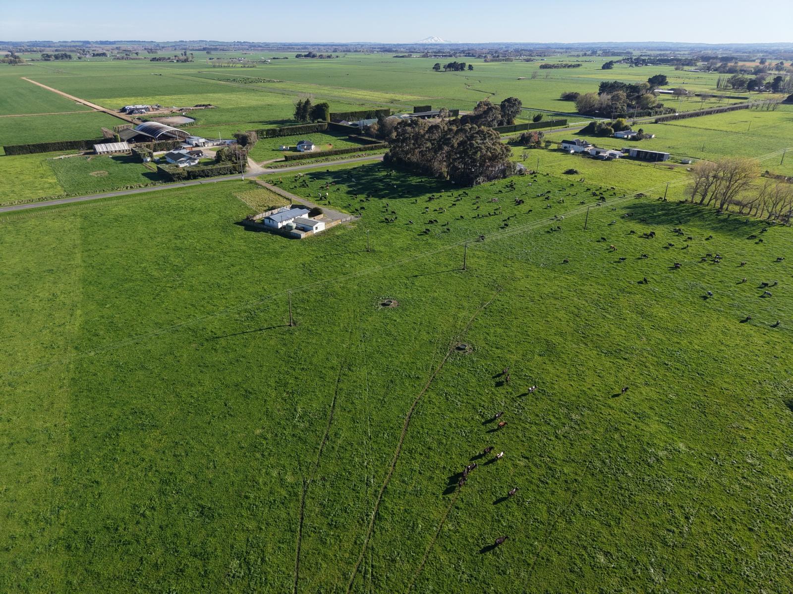 1063 Kairanga Bunnythorpe Road, Kairanga
