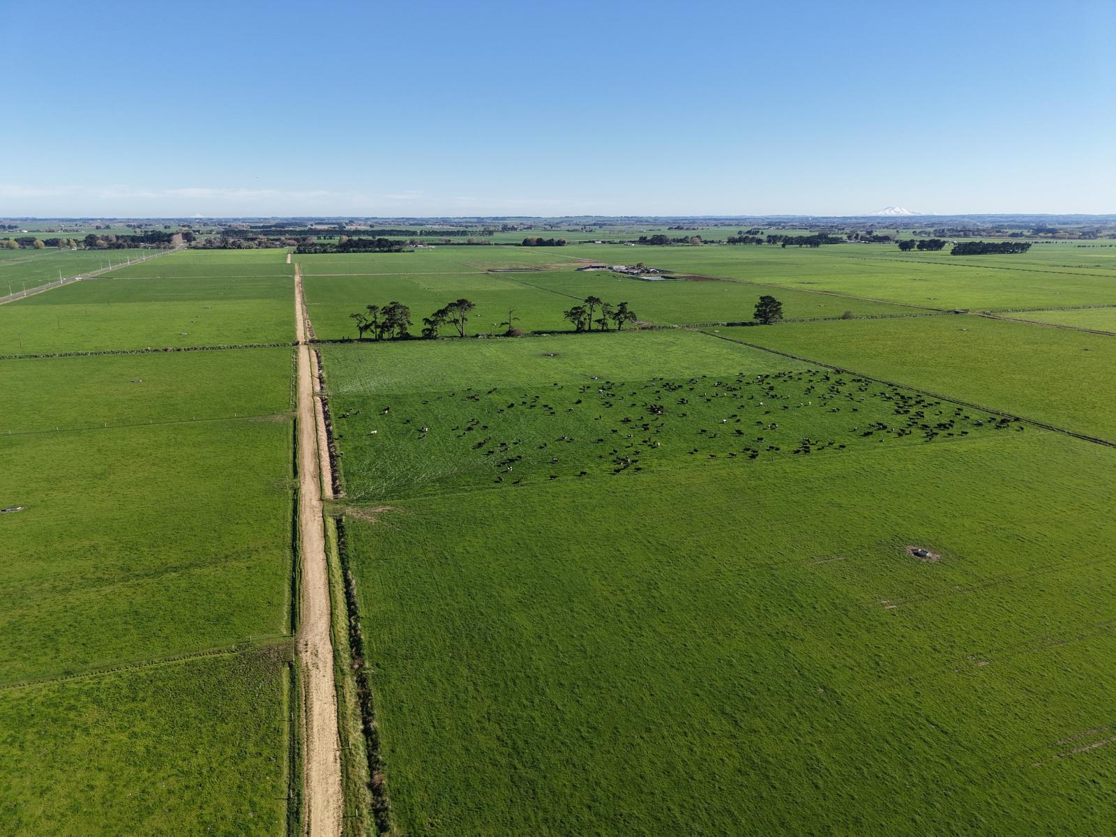 1063 Kairanga Bunnythorpe Road, Kairanga