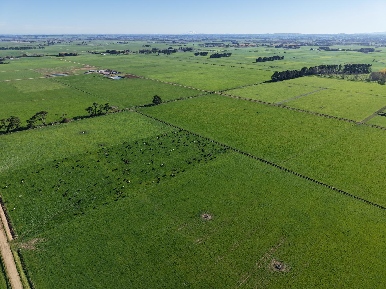 1063 Kairanga Bunnythorpe Road, Kairanga