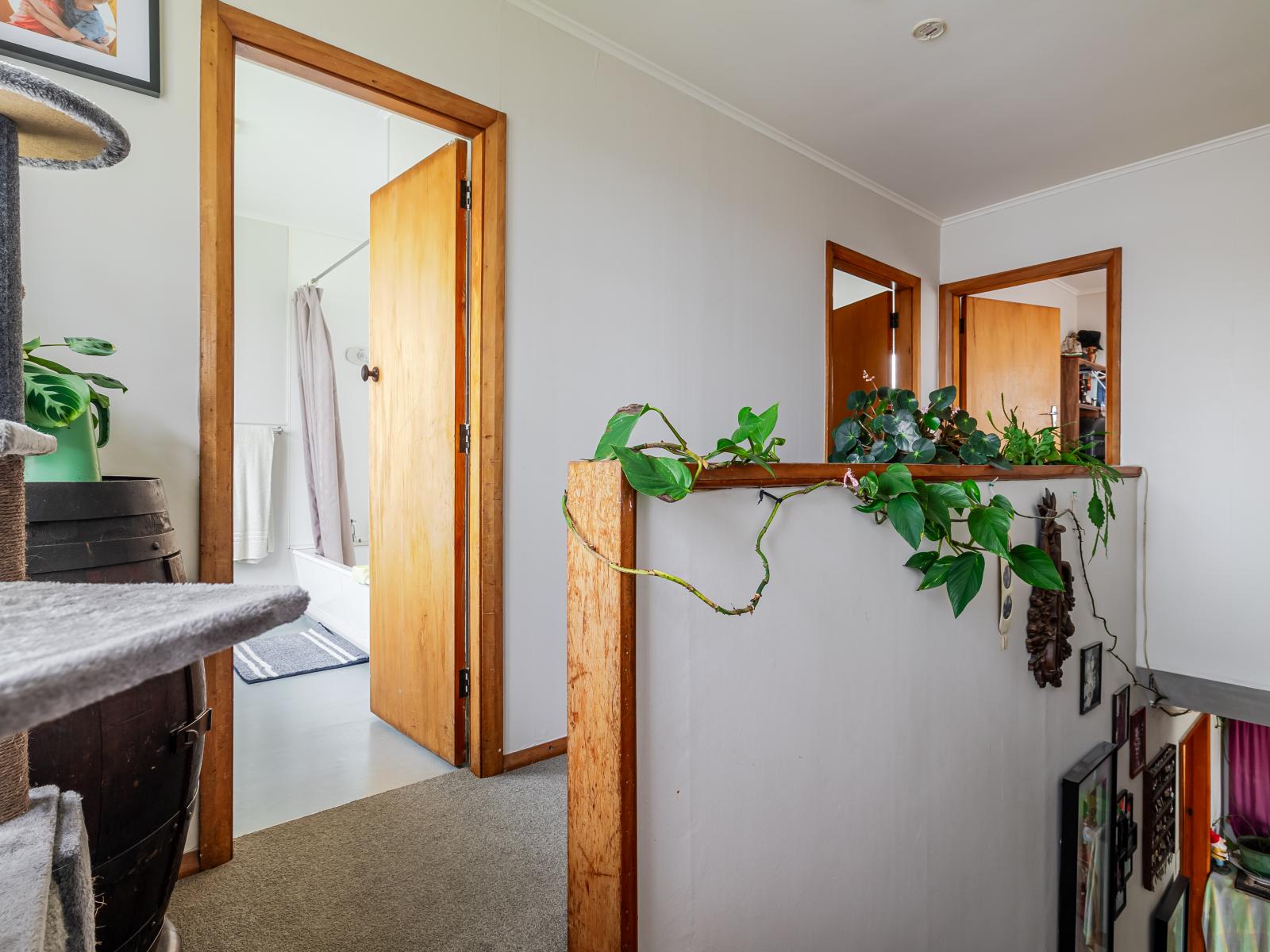 9 - 11 Hamilton Street, Pahiatua