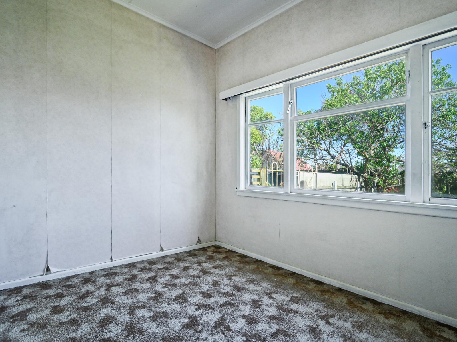 1008 Francis Hicks Avenue, Raureka