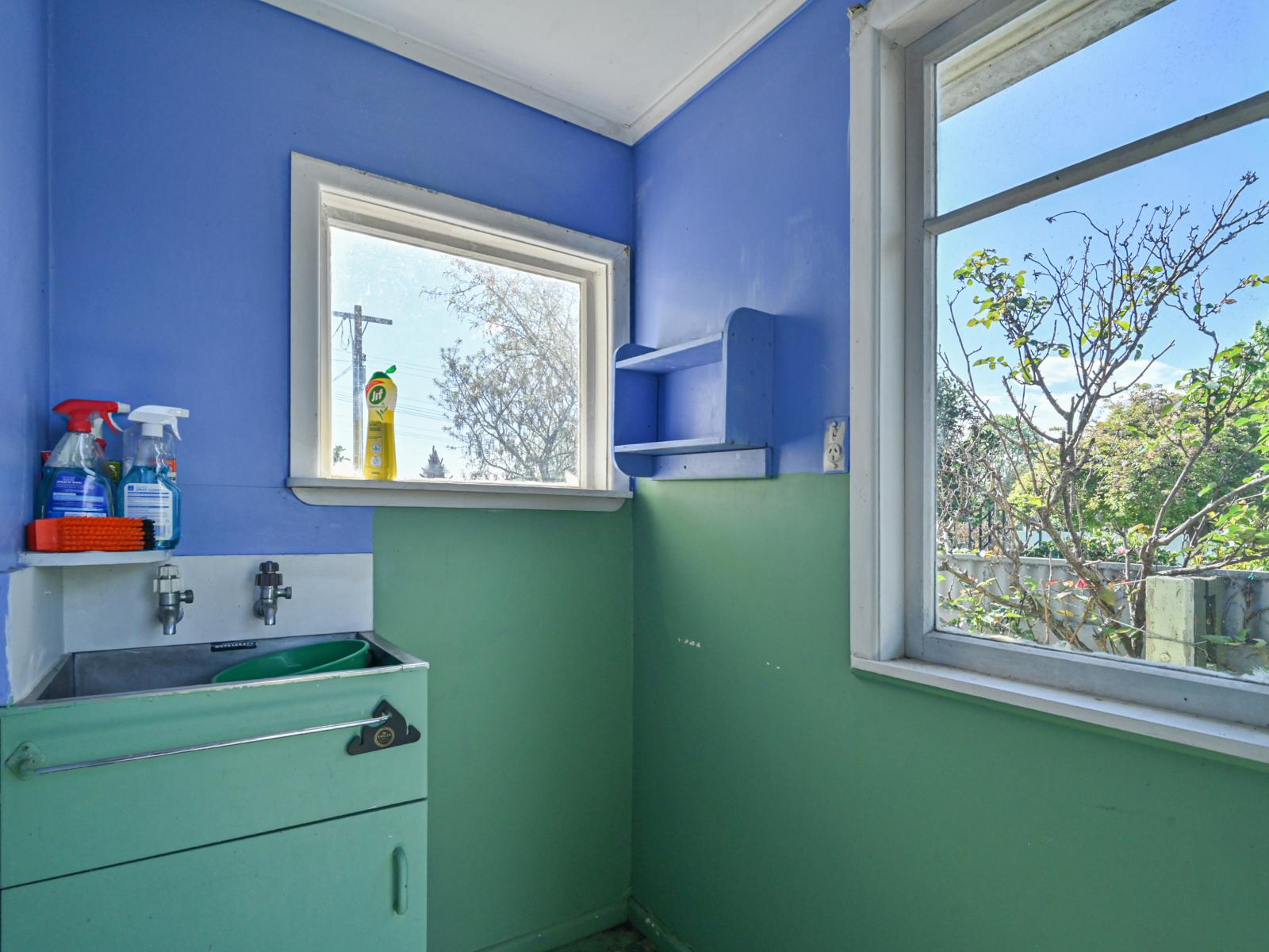 1008 Francis Hicks Avenue, Raureka