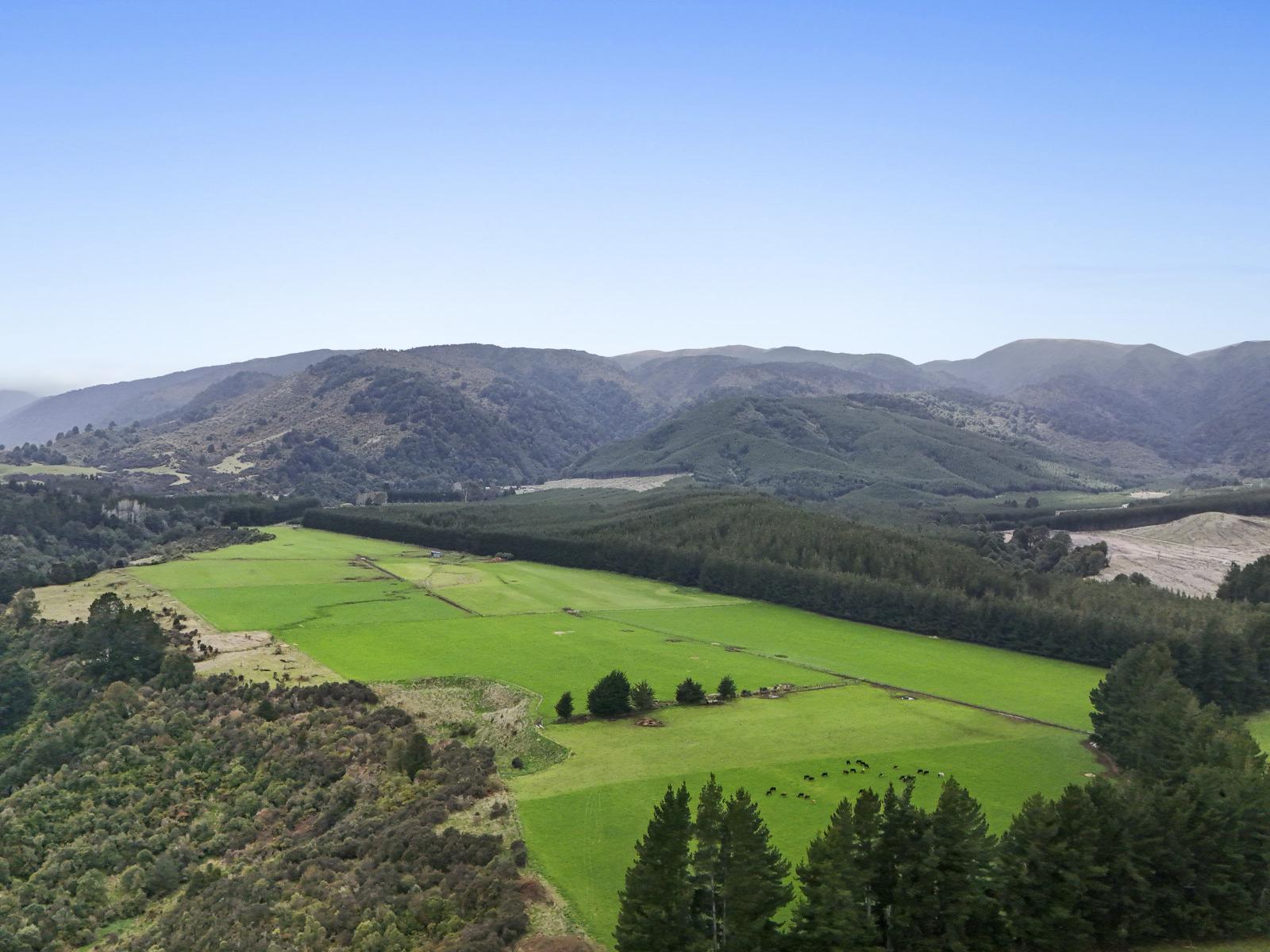 925 Main South Road, Rangiwahia