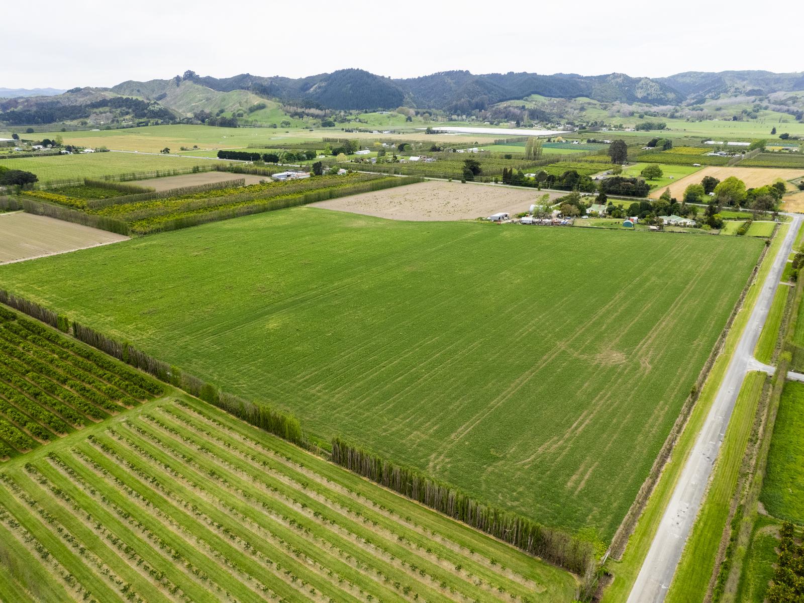 861 Matawai Road, Ormond