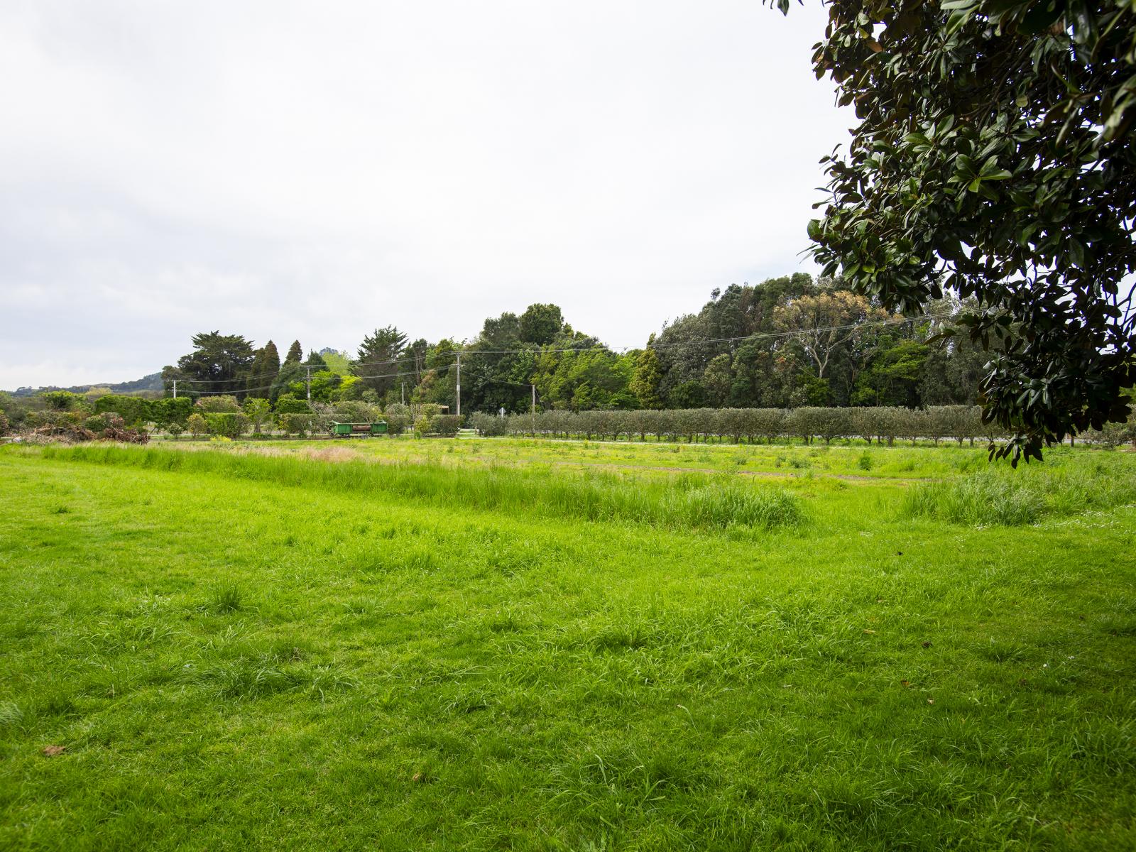 861 Matawai Road, Ormond