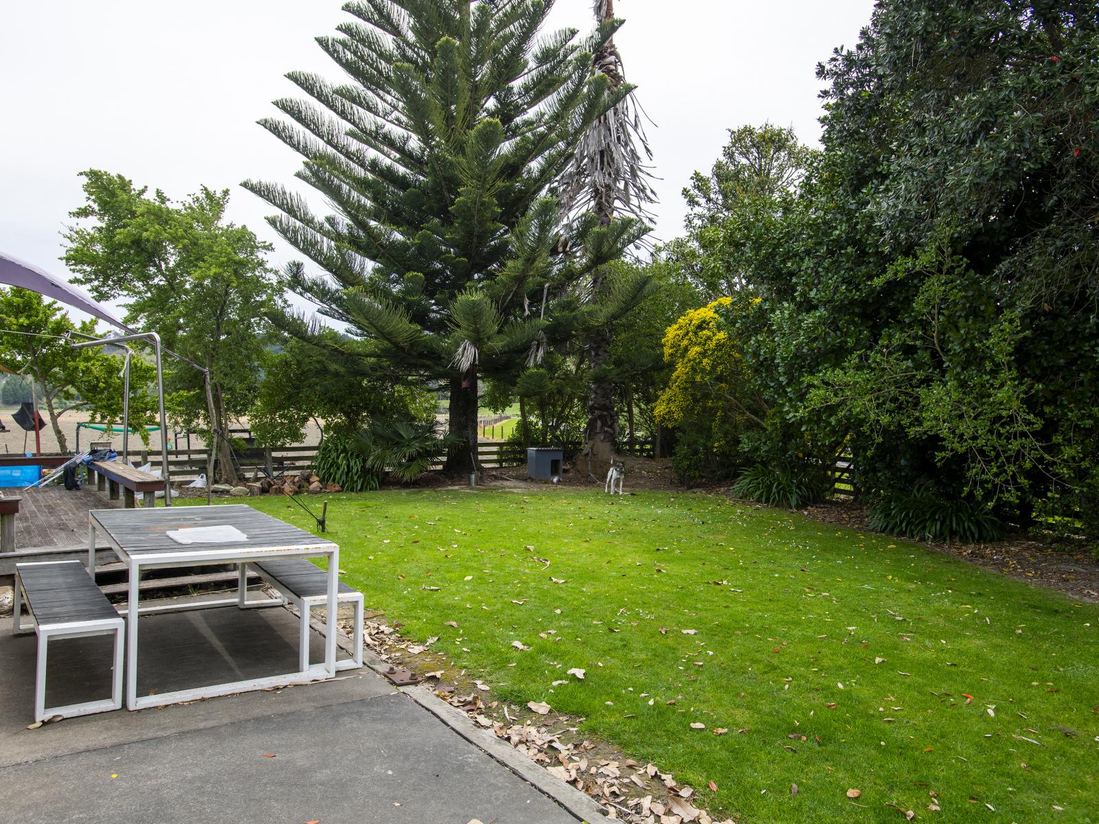 23 Mcfarlane Road, Waituhi