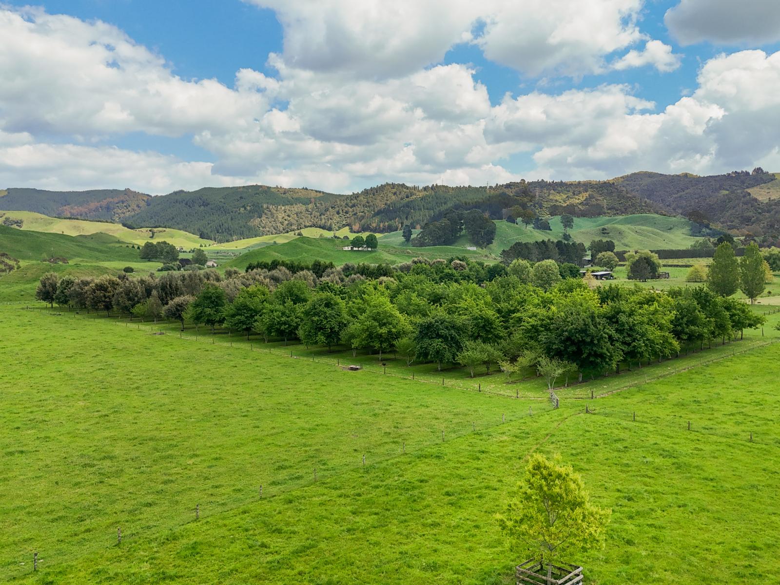 1156 Braemar Road, Rotoma