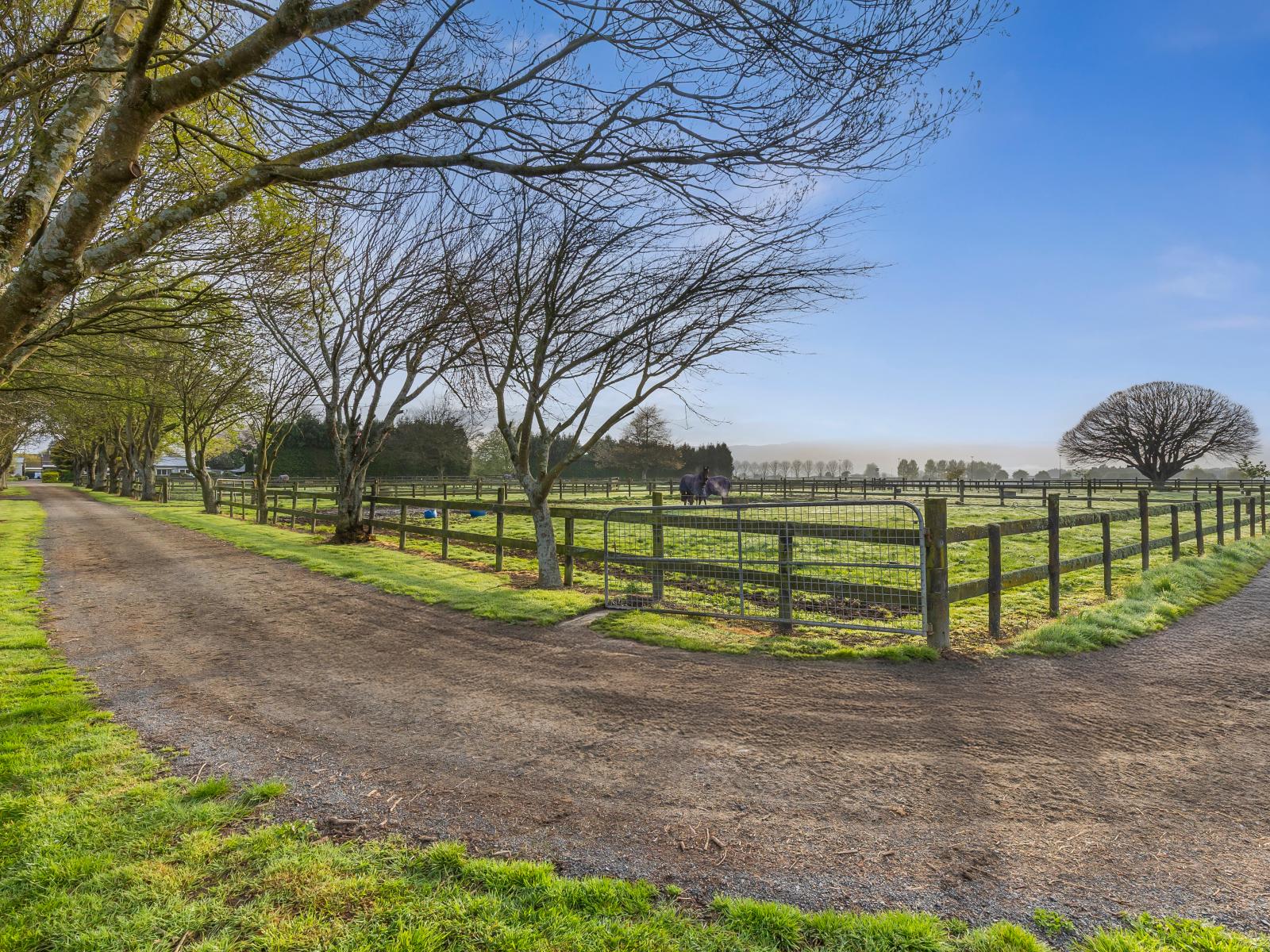 7519 State Highway 27, Matamata