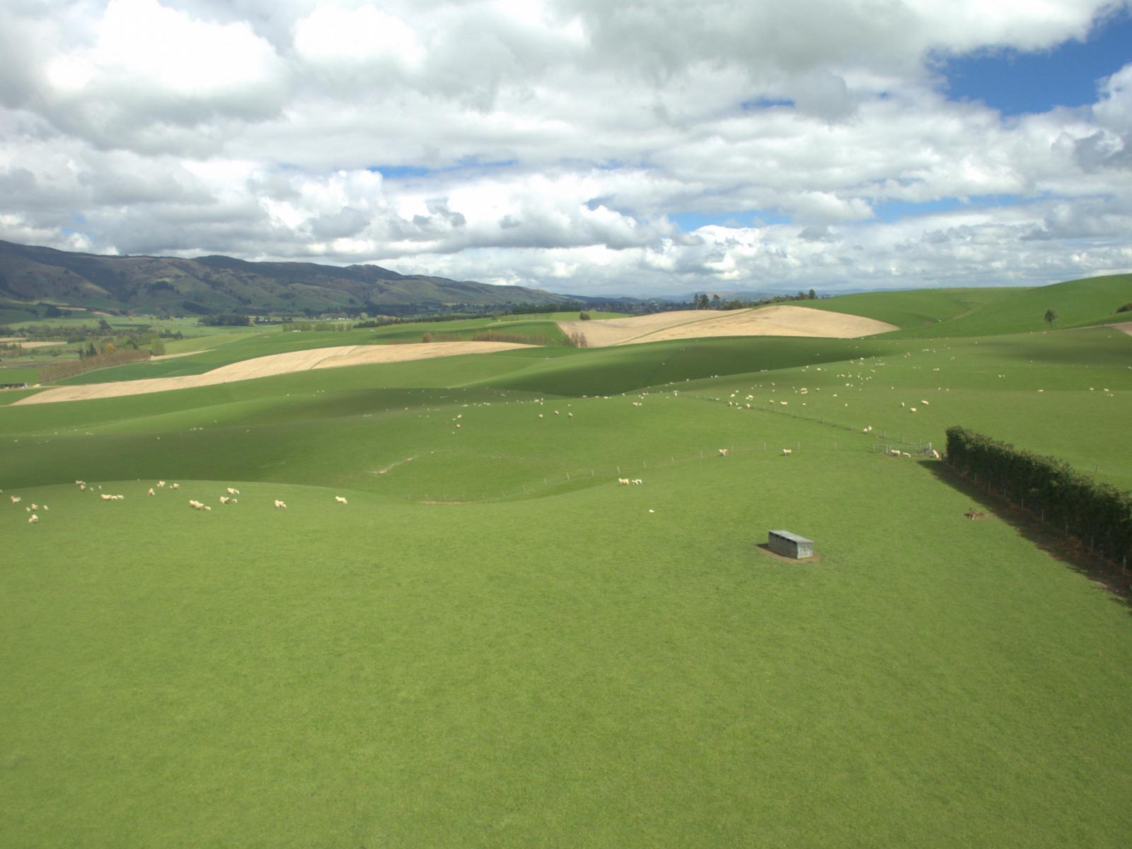 368 Mill Road, Kelso