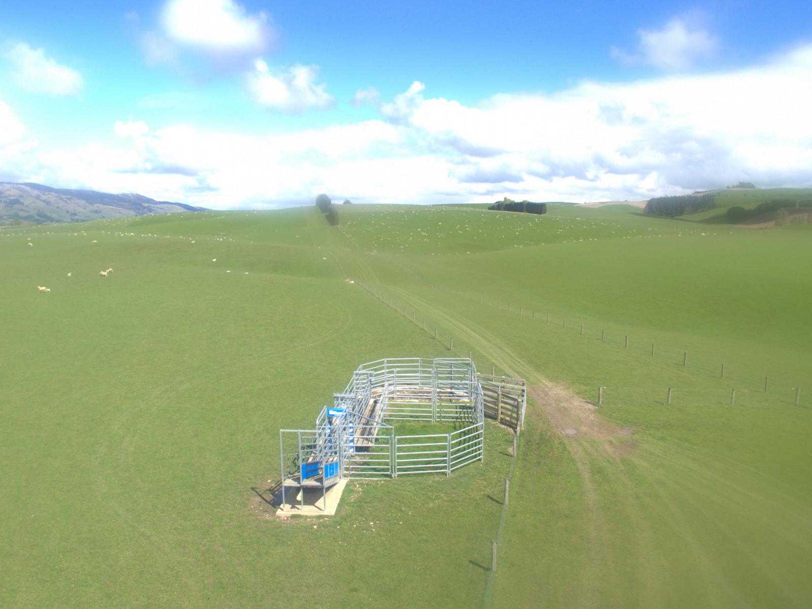 368 Mill Road, Kelso