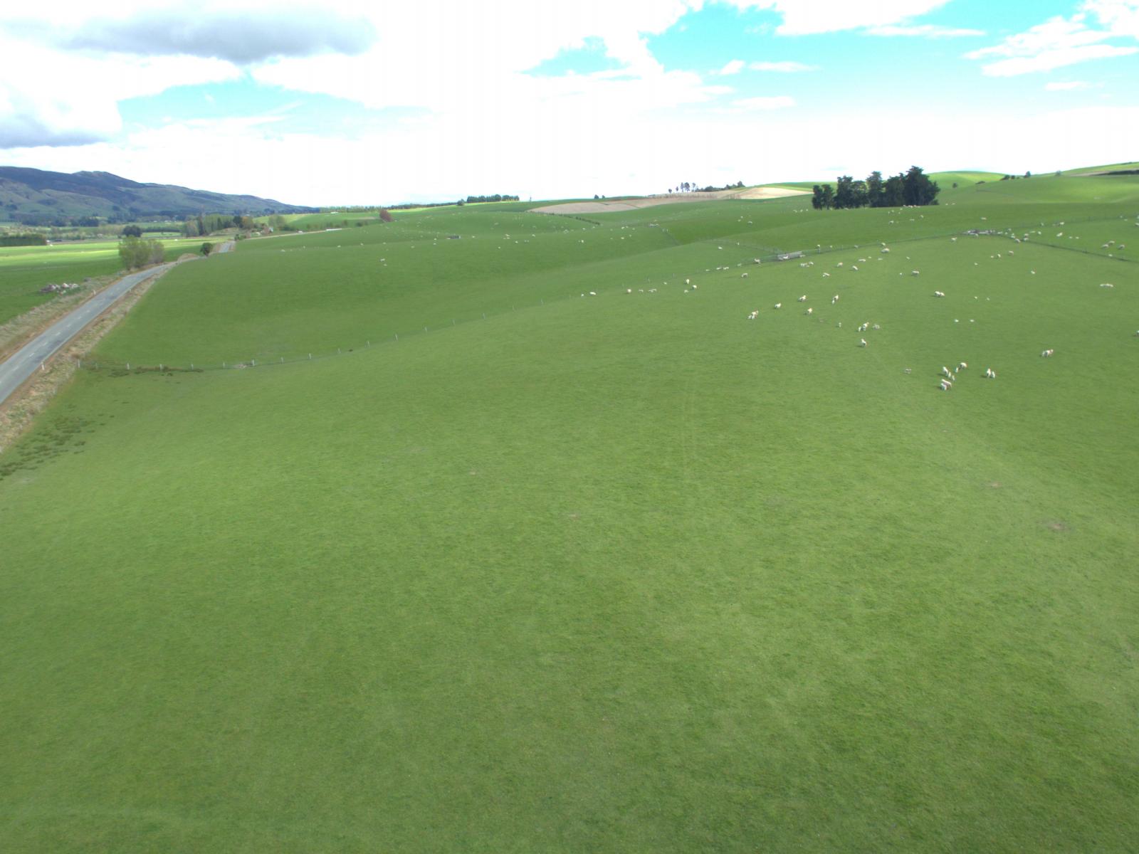 368 Mill Road, Kelso
