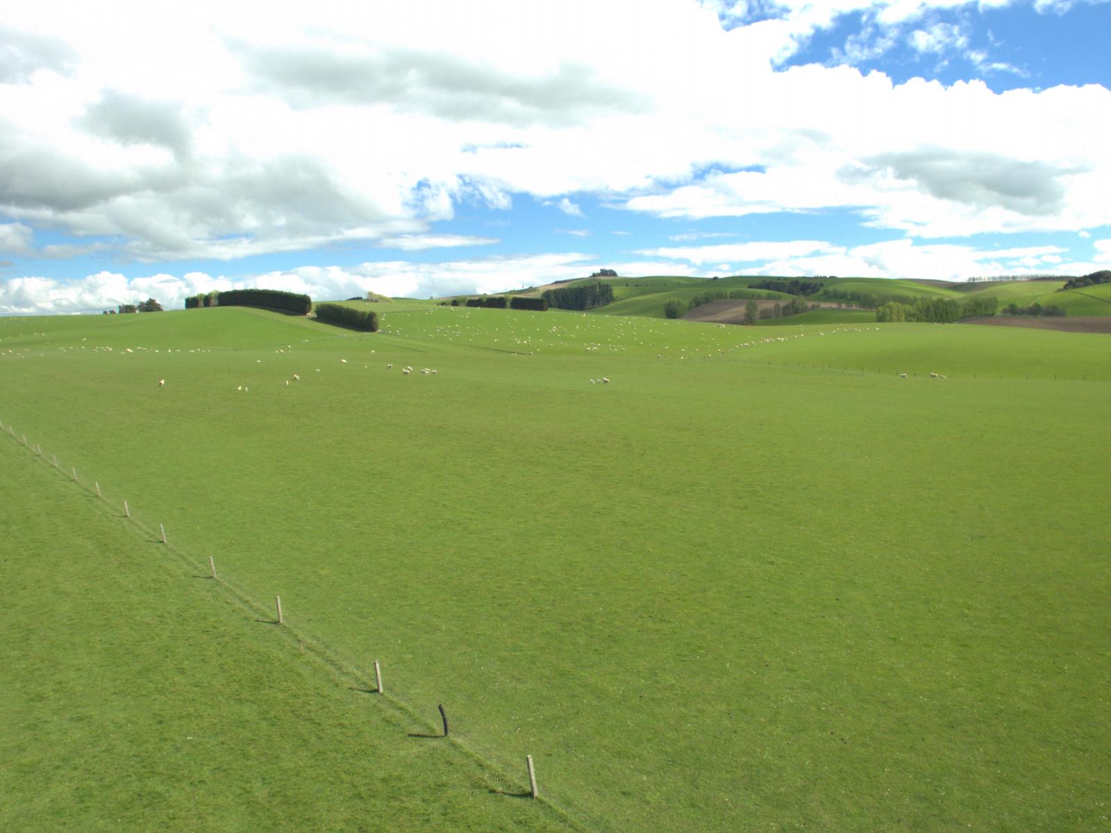 368 Mill Road, Kelso