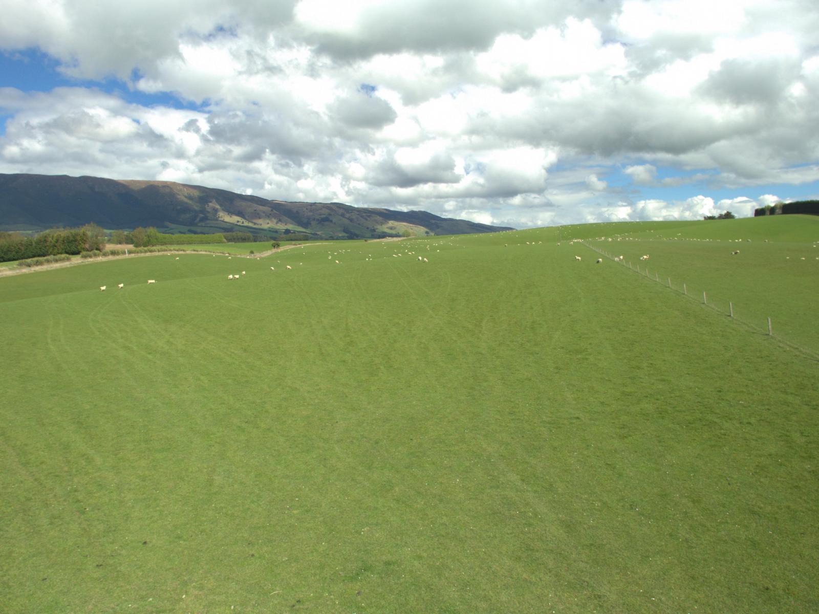 368 Mill Road, Kelso
