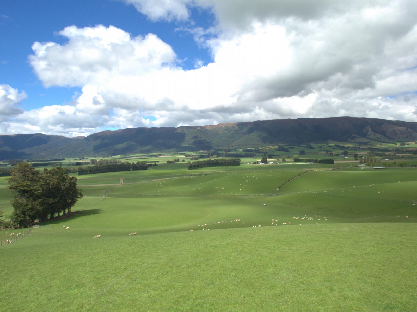 368 Mill Road, Kelso
