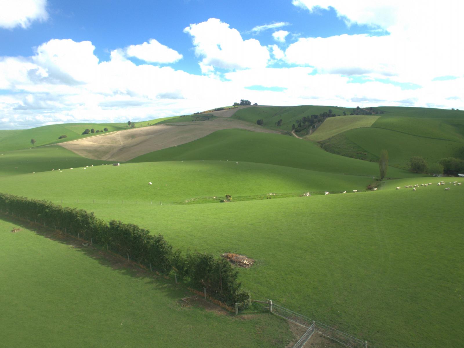 368 Mill Road, Kelso