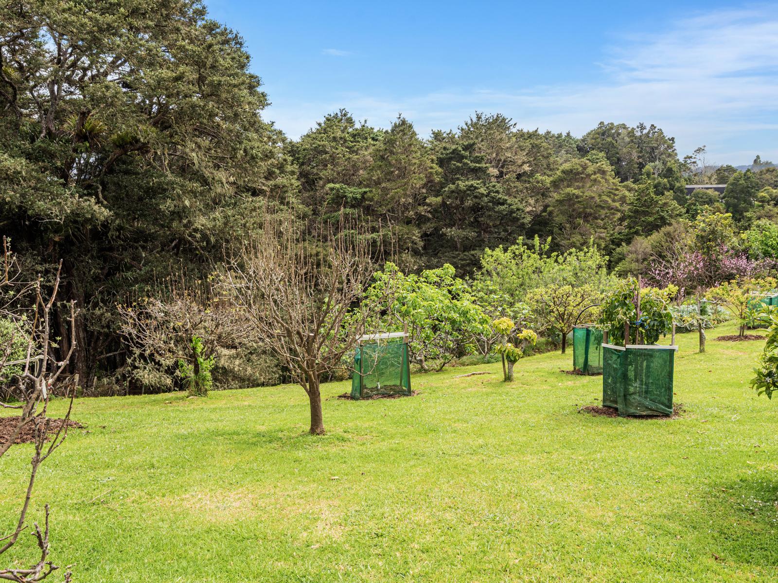 65 Main Road, Kauri