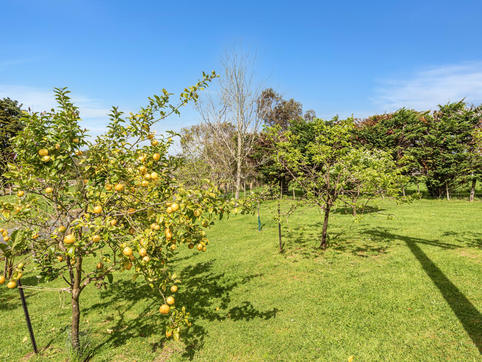 65 Main Road, Kauri