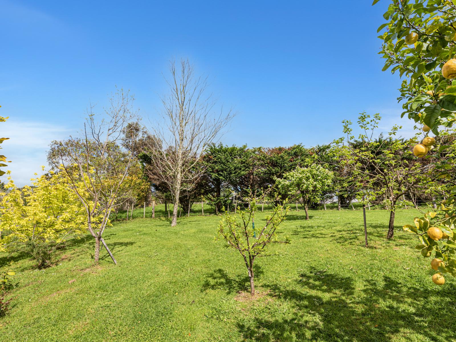 65 Main Road, Kauri