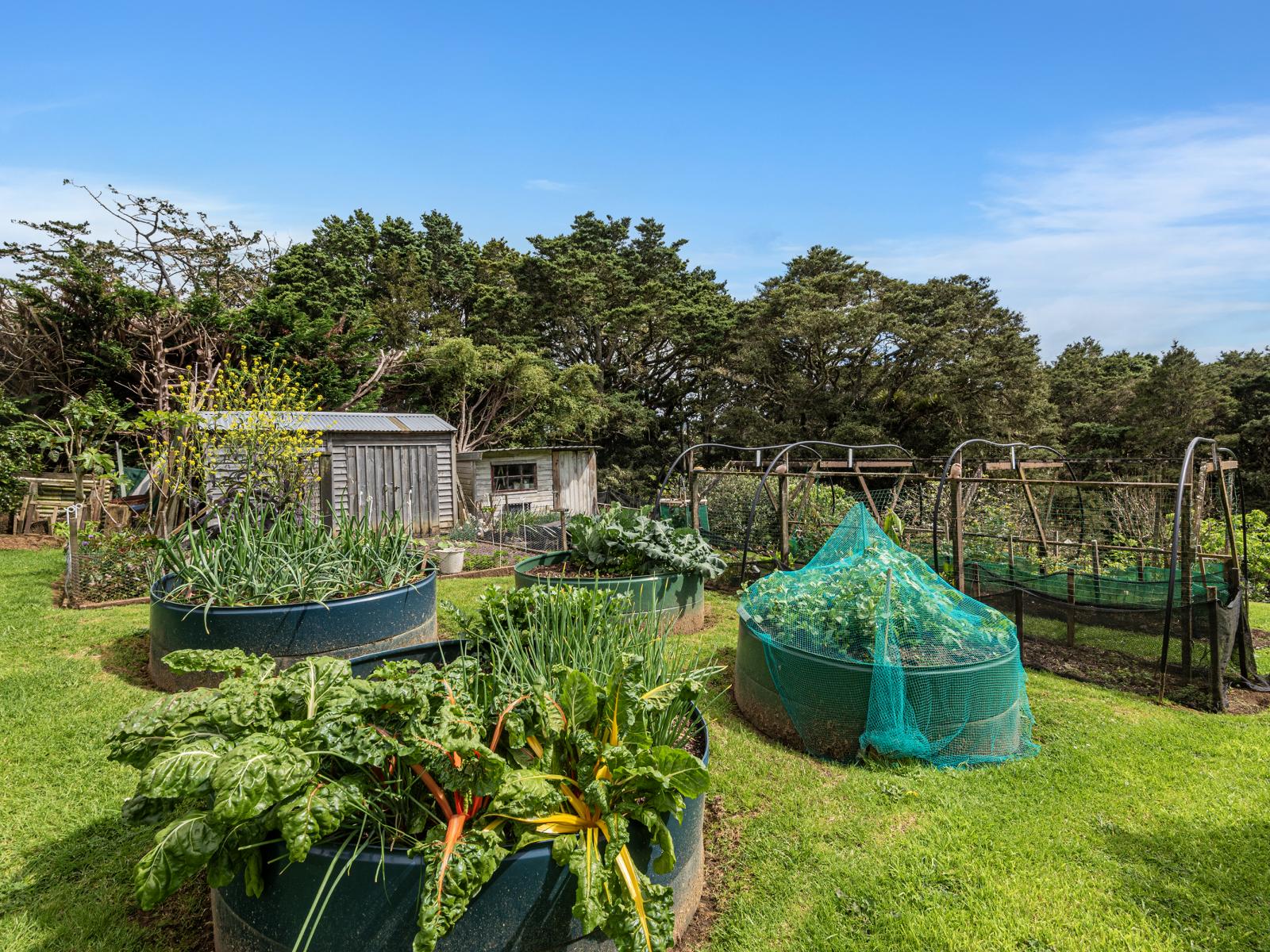 65 Main Road, Kauri