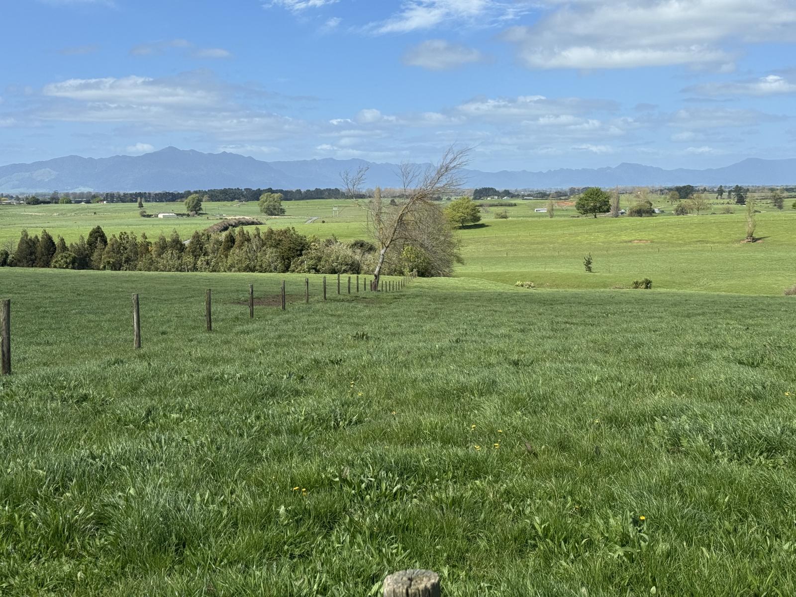 106 Herbert Road, Morrinsville
