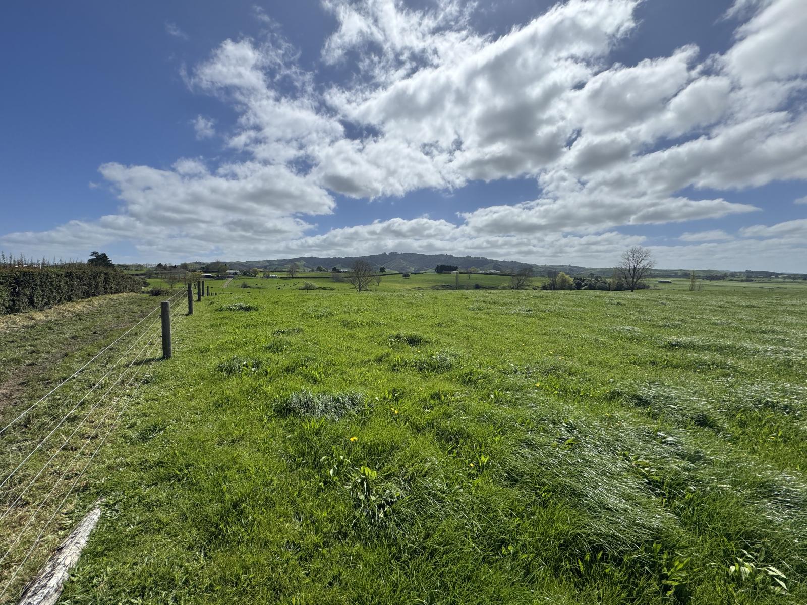 106 Herbert Road, Morrinsville