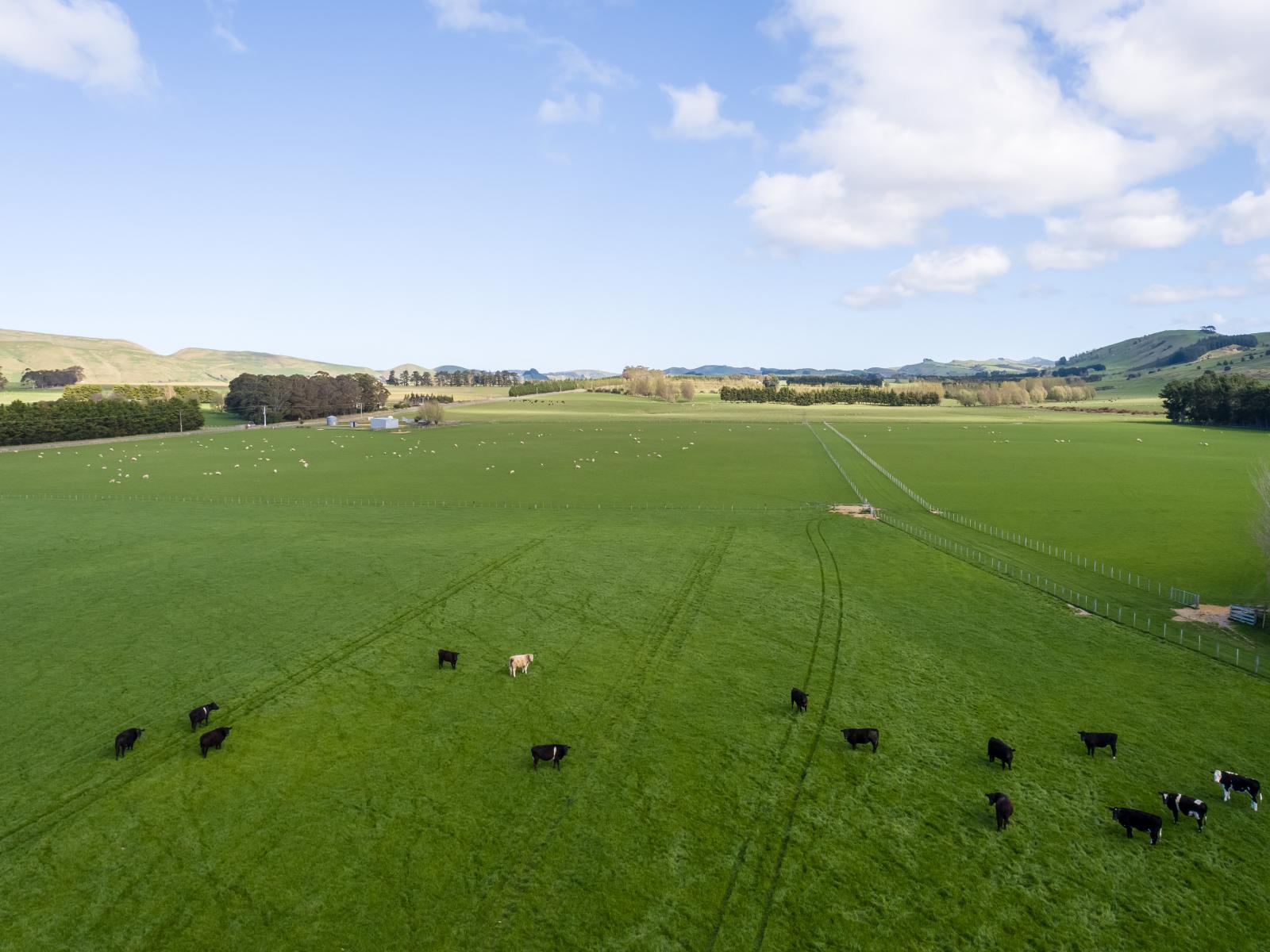 White Rock Road, Martinborough