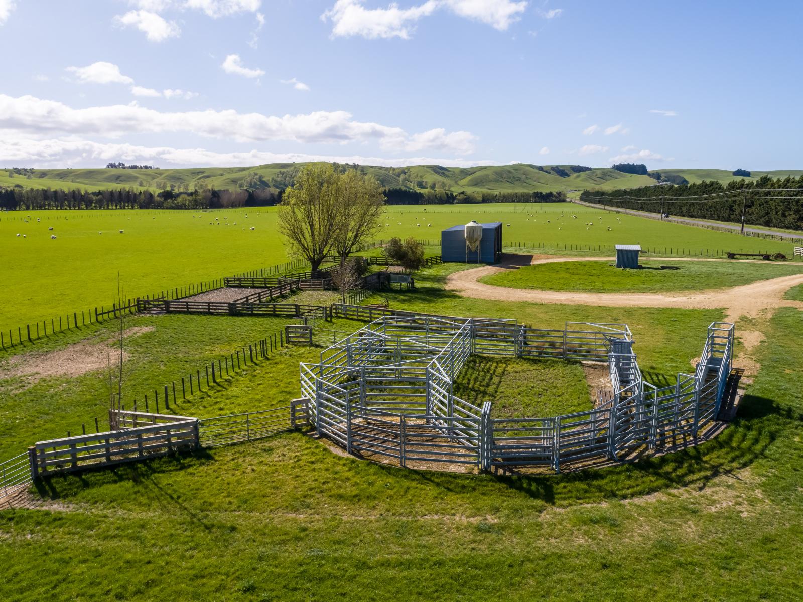 White Rock Road, Martinborough