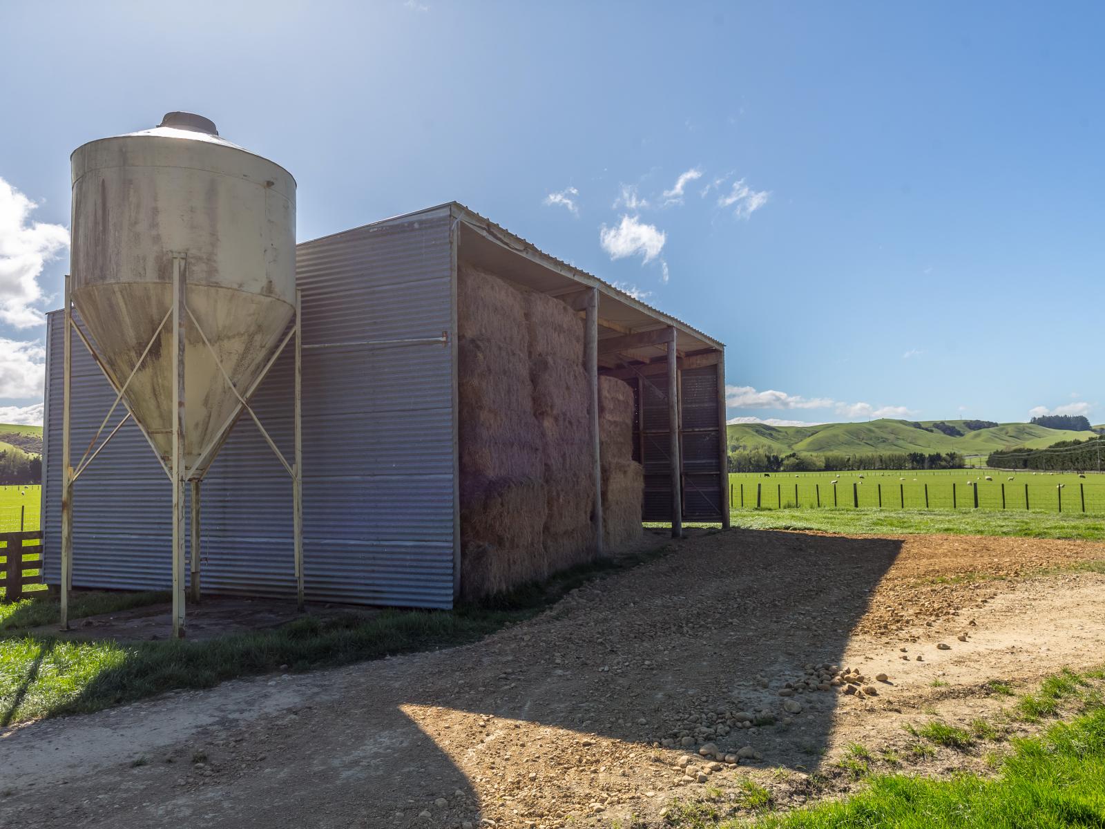 White Rock Road, Martinborough