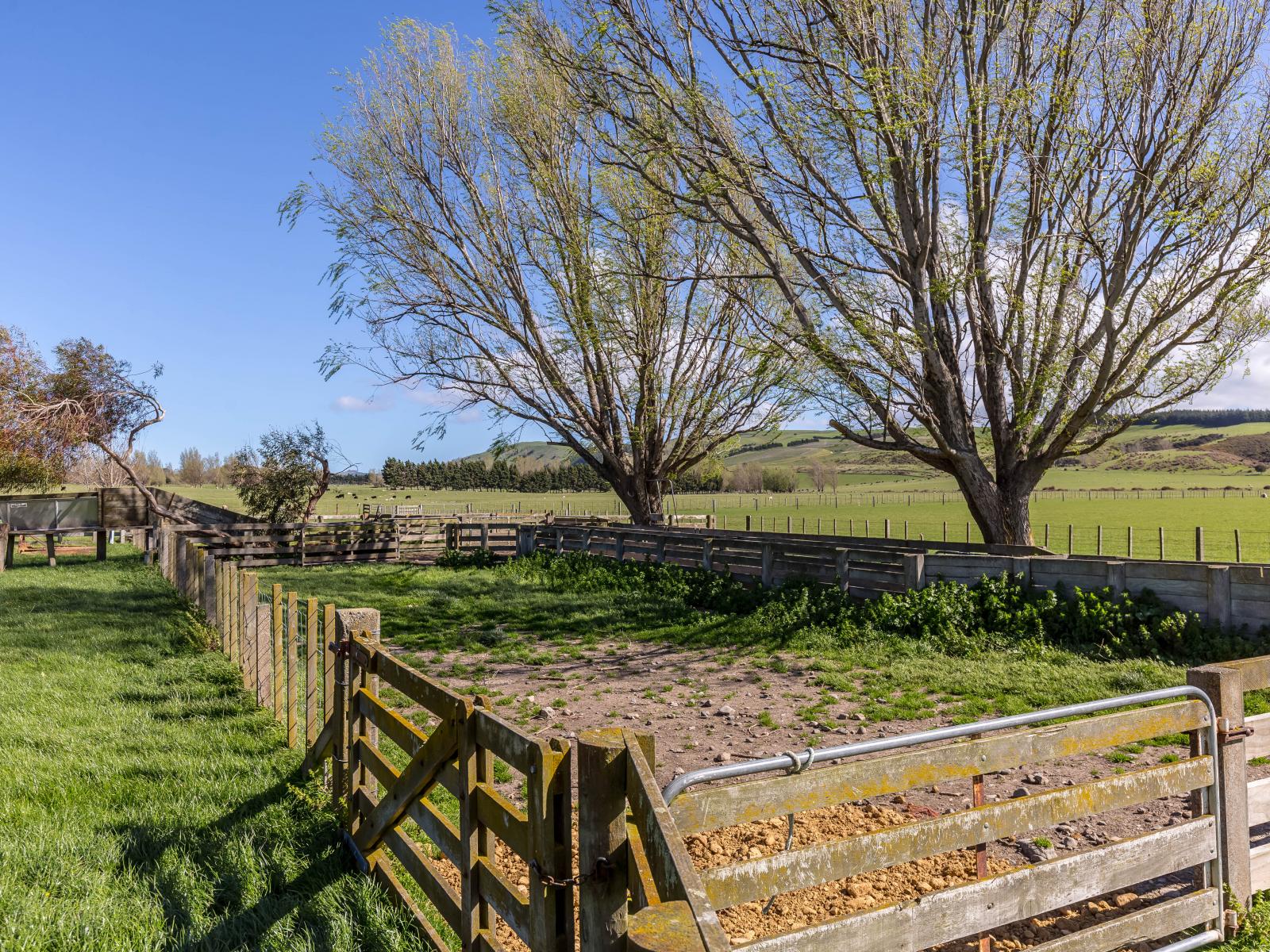 White Rock Road, Martinborough