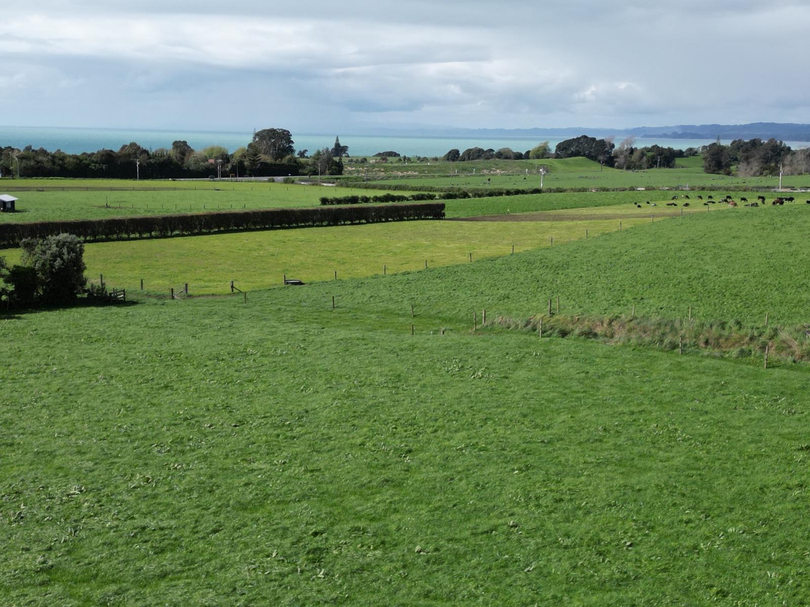 1028 Main North Road, Onaero