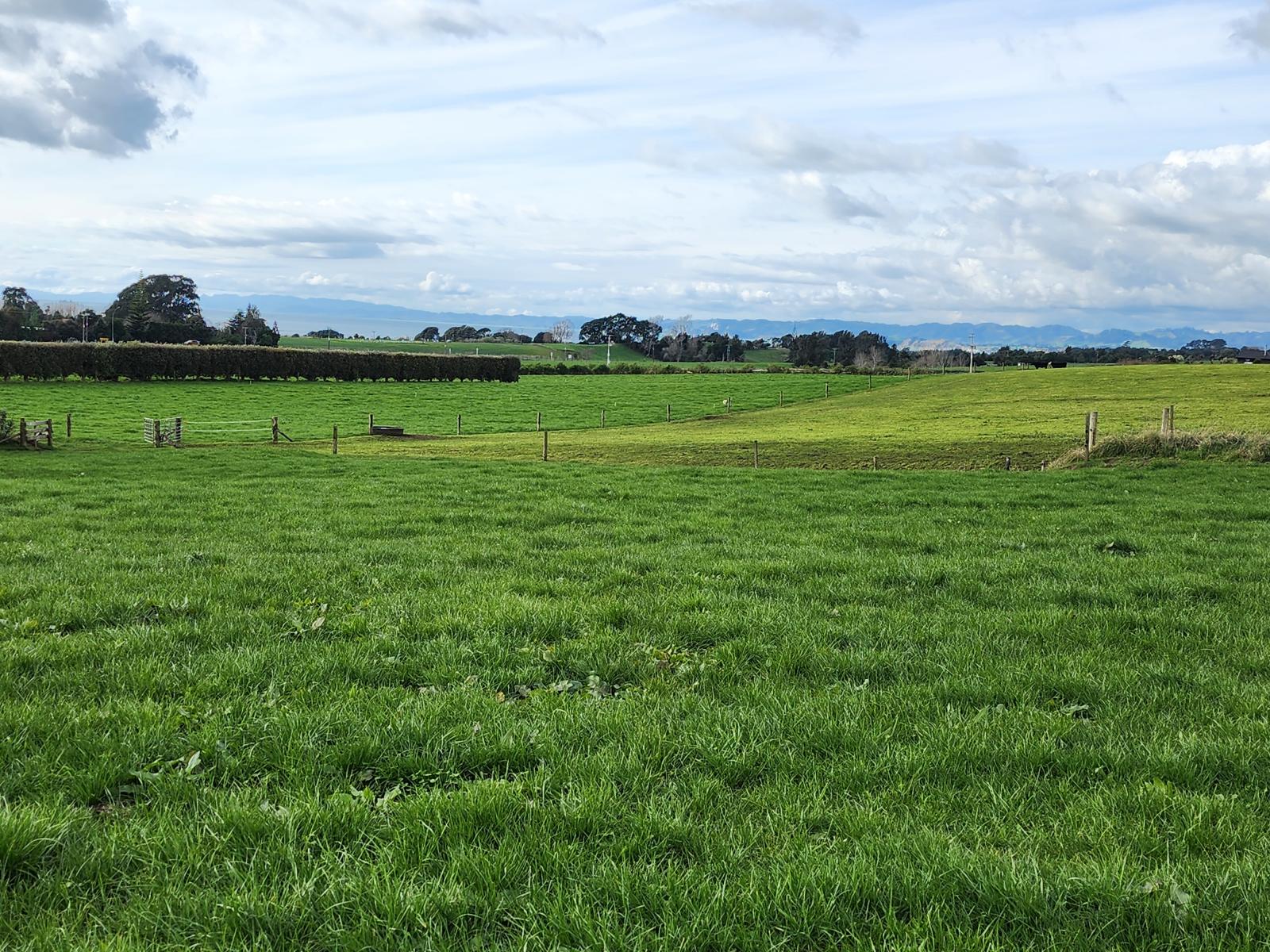 1028 Main North Road, Onaero