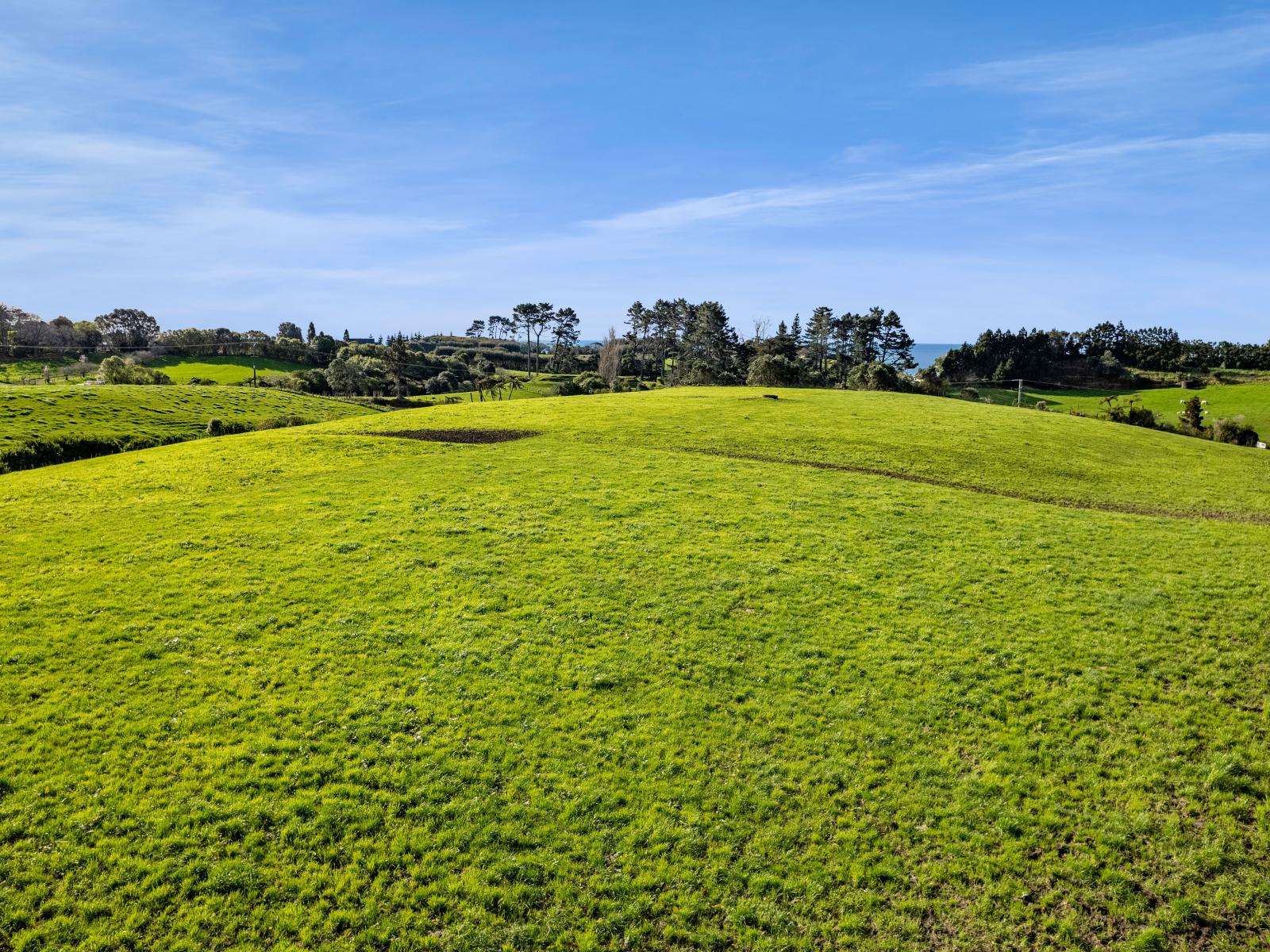 1028 Main North Road, Onaero