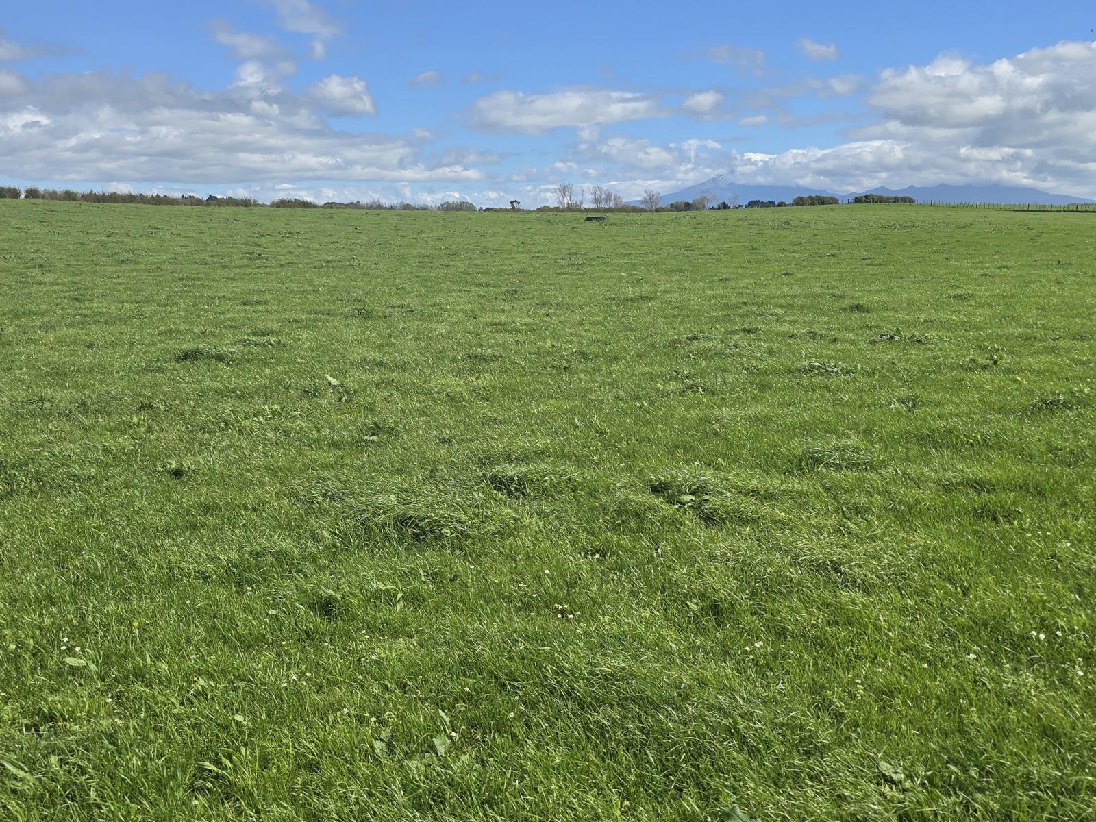 1028 Main North Road, Onaero