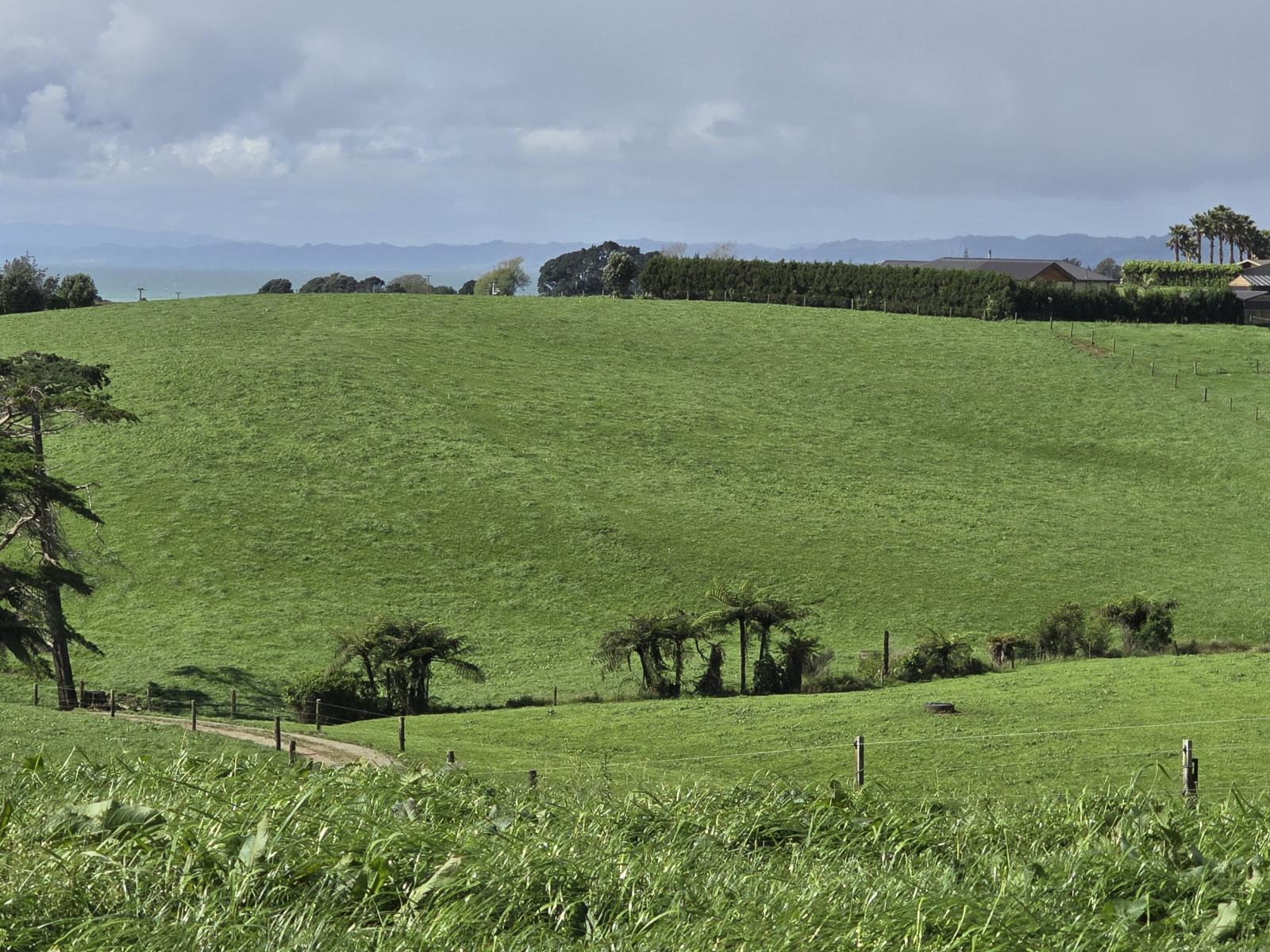 1028 Main North Road, Onaero