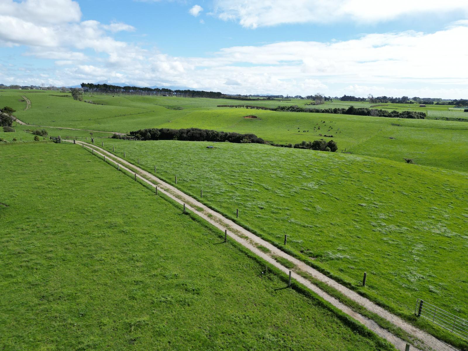 1028 Main North Road, Onaero