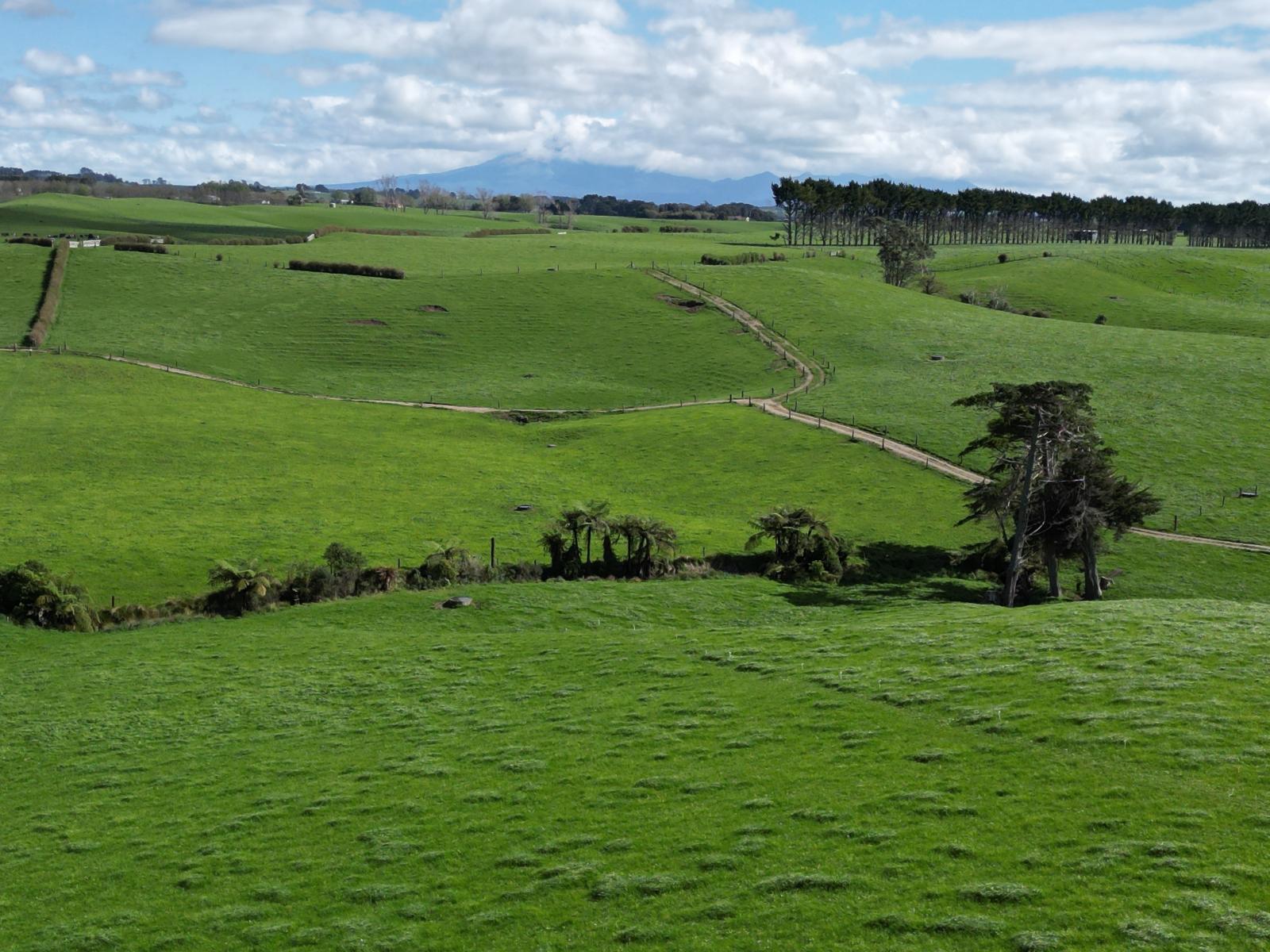 1028 Main North Road, Onaero