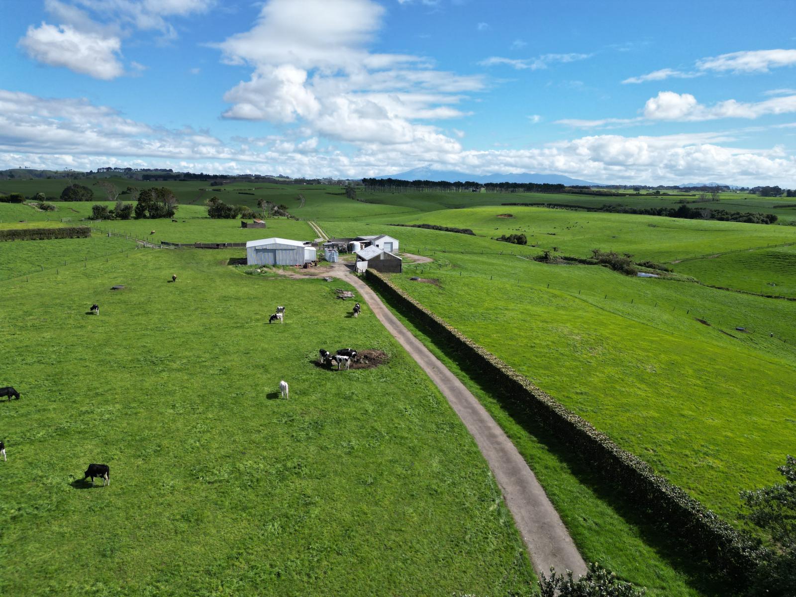 1028 Main North Road, Onaero