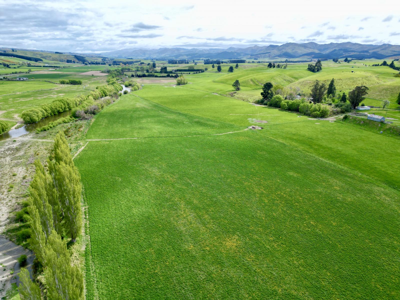 Palmerston-Dunback Road/Switchback Road, Palmerston