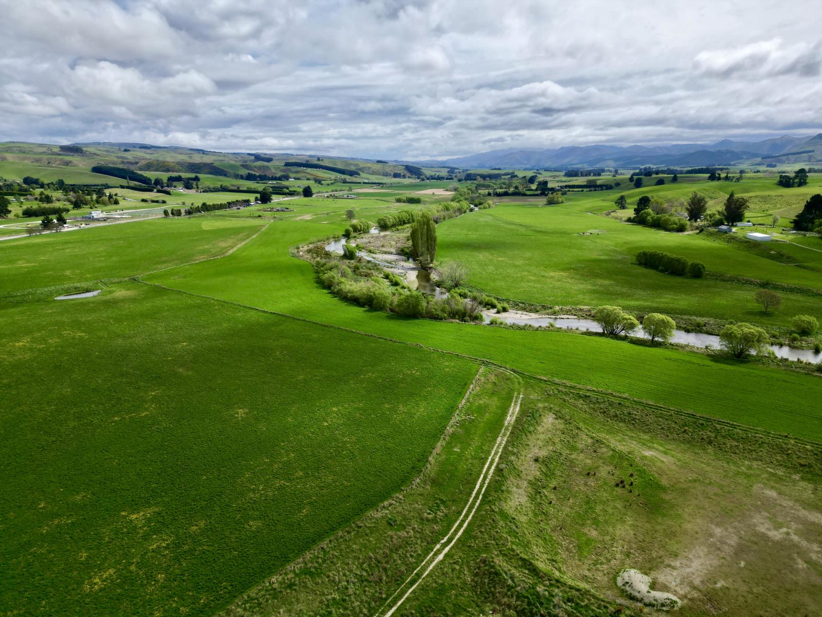 Palmerston-Dunback Road/Switchback Road, Palmerston