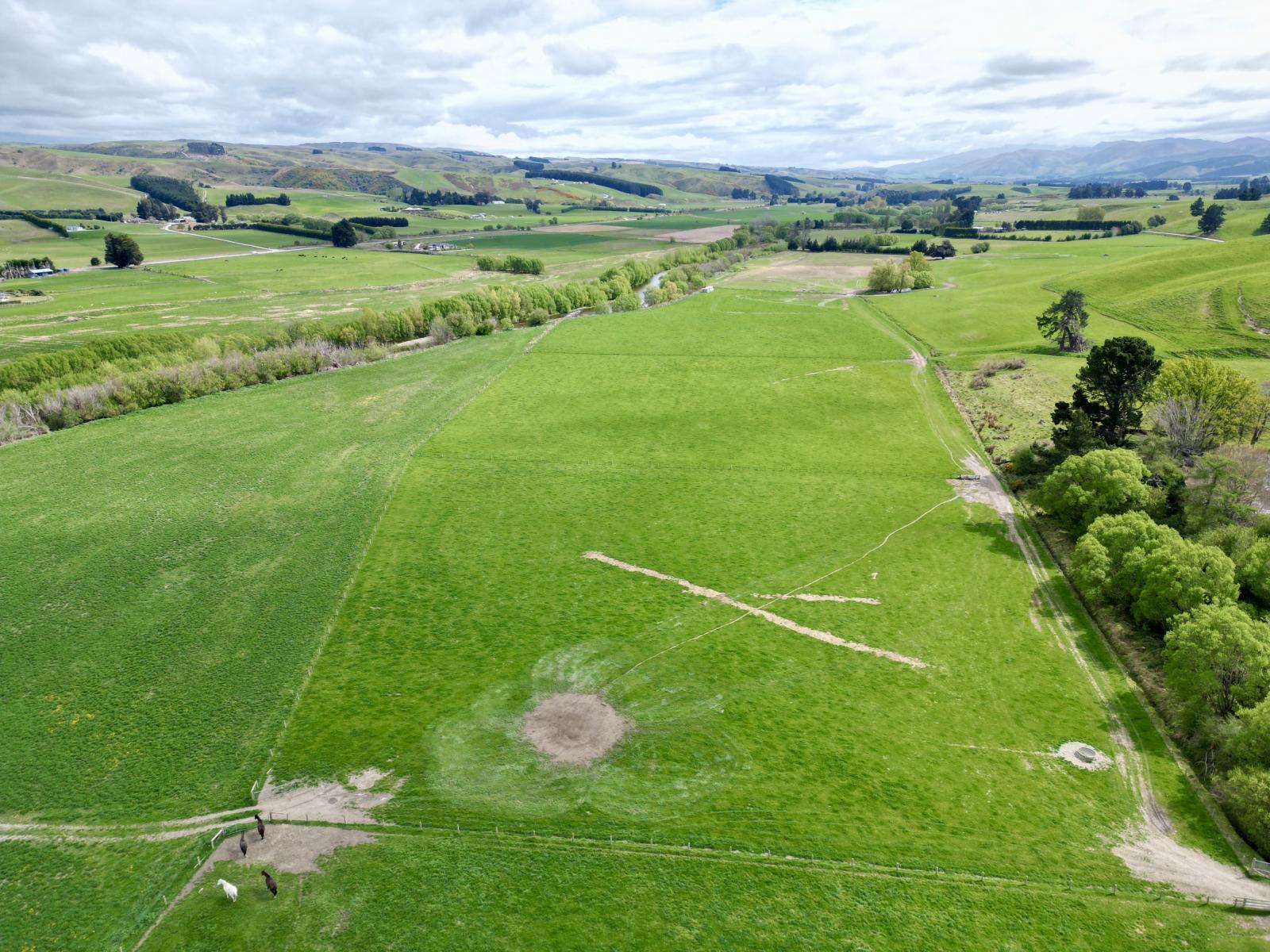 Palmerston-Dunback Road/Switchback Road, Palmerston
