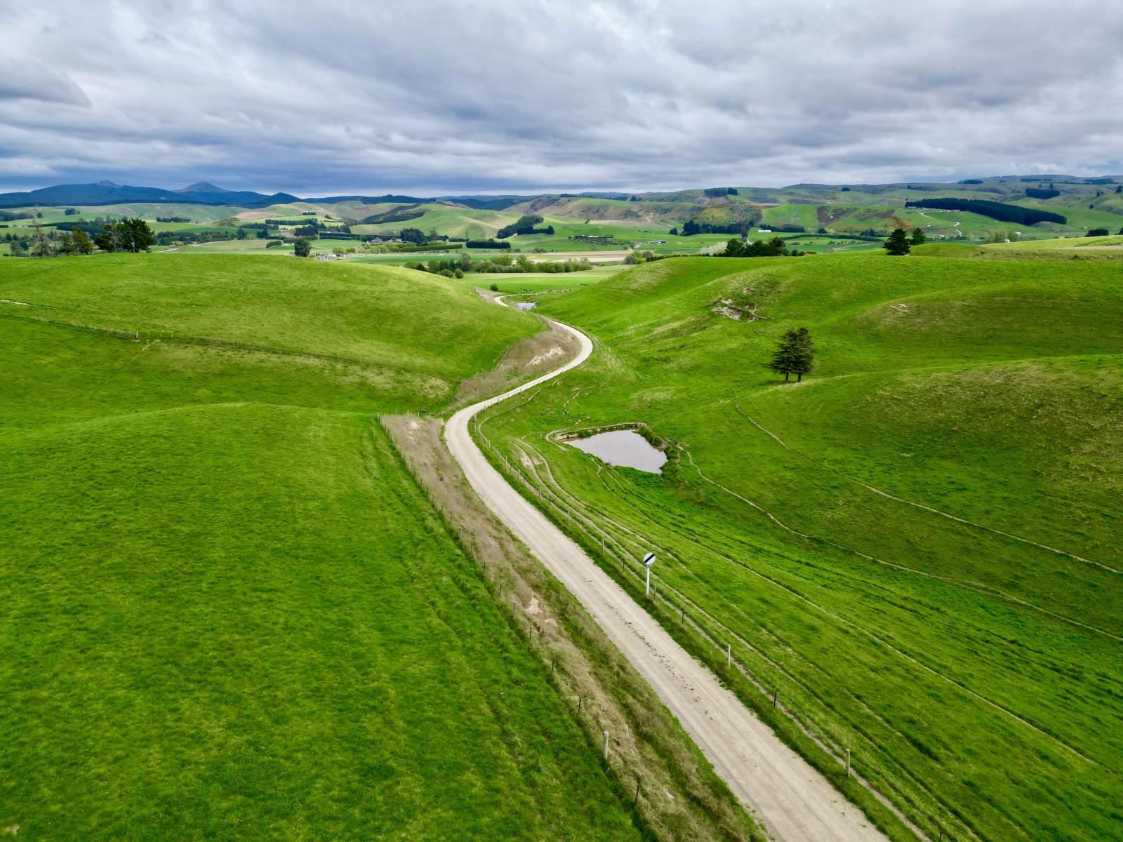 Palmerston-Dunback Road/Switchback Road, Palmerston