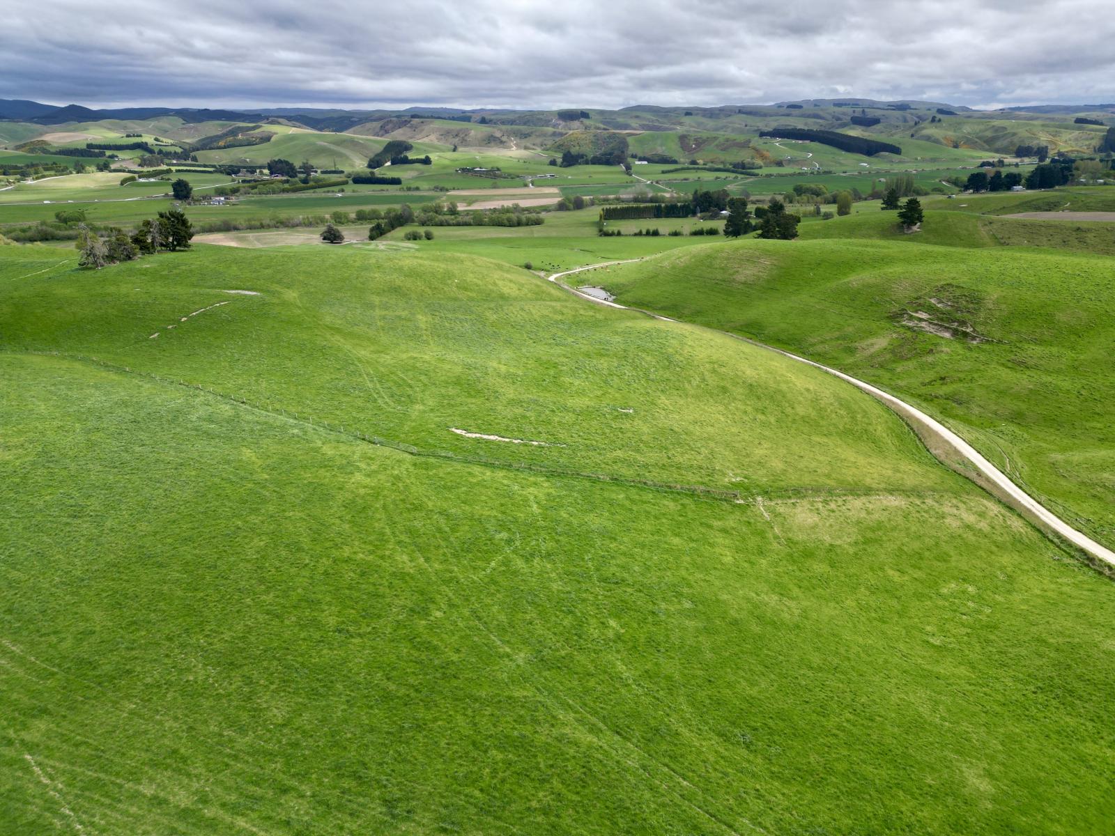 Palmerston-Dunback Road/Switchback Road, Palmerston