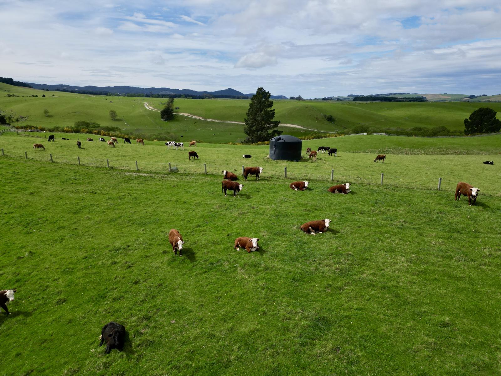 Palmerston-Dunback Road/Switchback Road, Palmerston