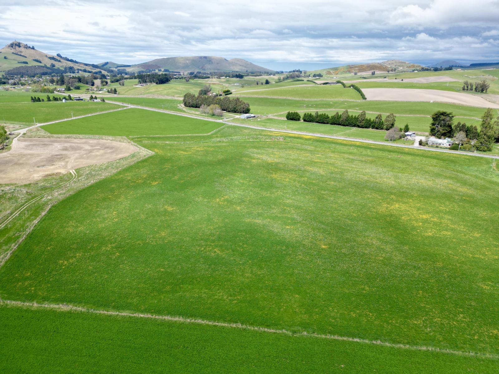 Palmerston-Dunback Road/Switchback Road, Palmerston
