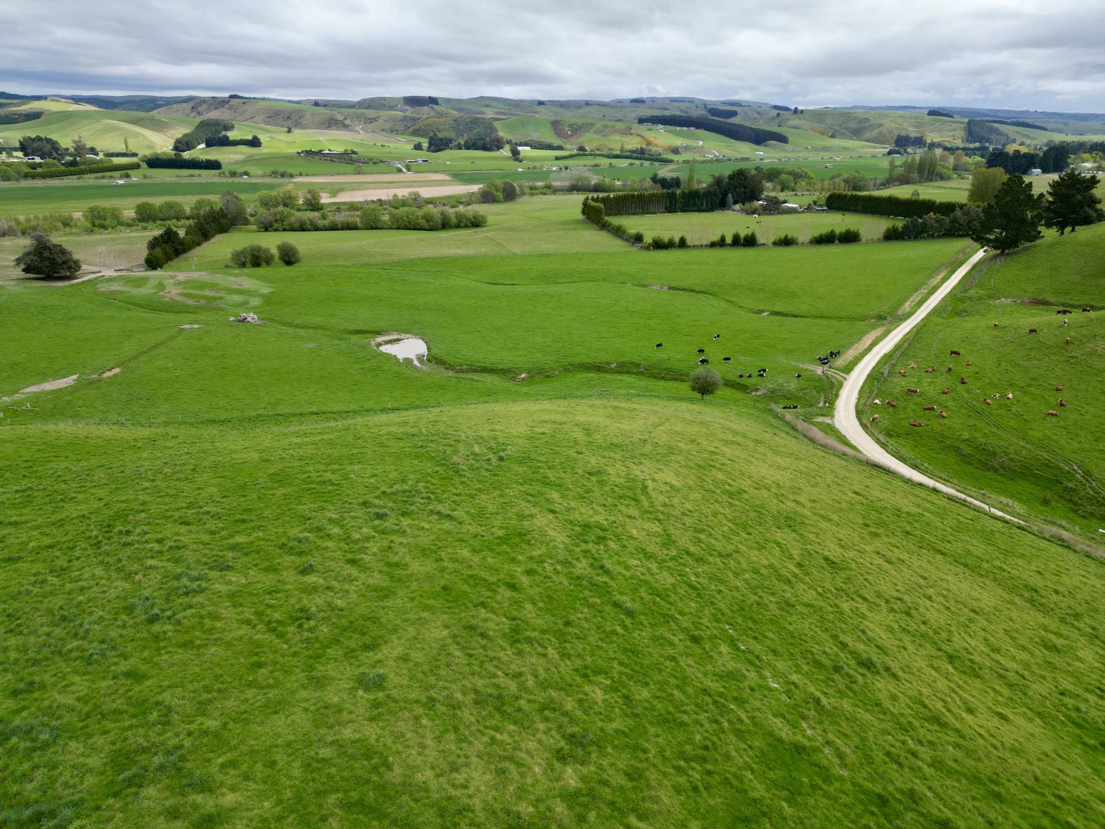 Palmerston-Dunback Road/Switchback Road, Palmerston