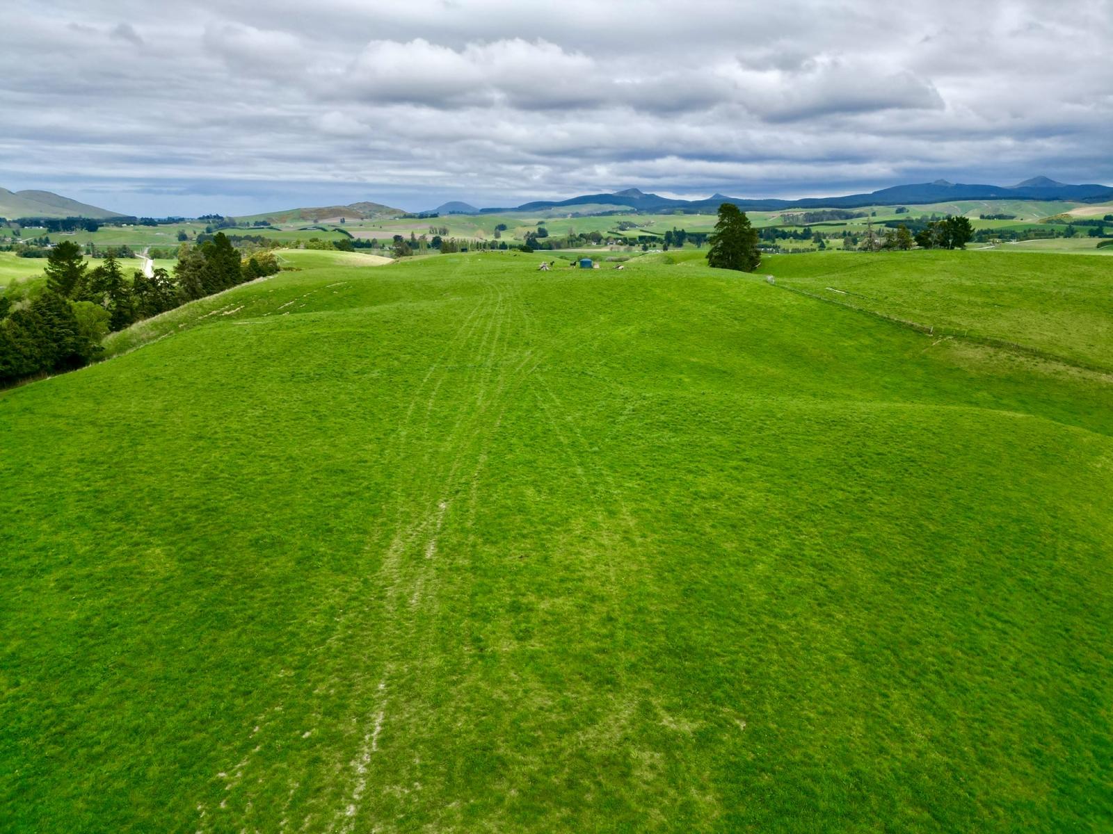 Palmerston-Dunback Road/Switchback Road, Palmerston
